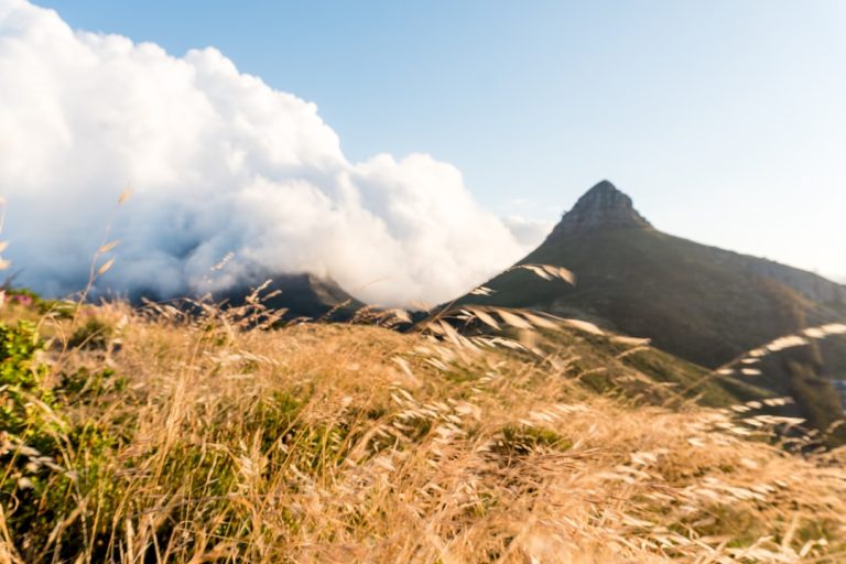 The Thrill of the Outdoors: Embracing Adventure Travel